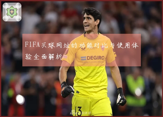 FIFA买球网址的功能对比与使用体验全面解析