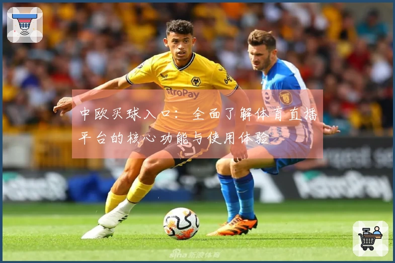 中欧买球入口：全面了解体育直播平台的核心功能与使用体验