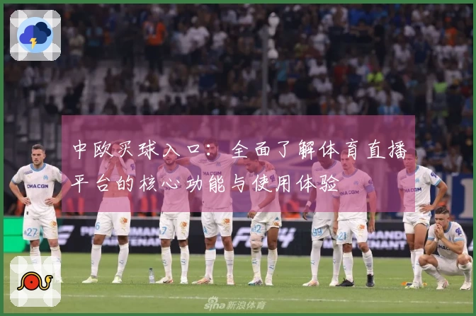 中欧买球入口:全面了解体育直播平台的核心功能与使用体验