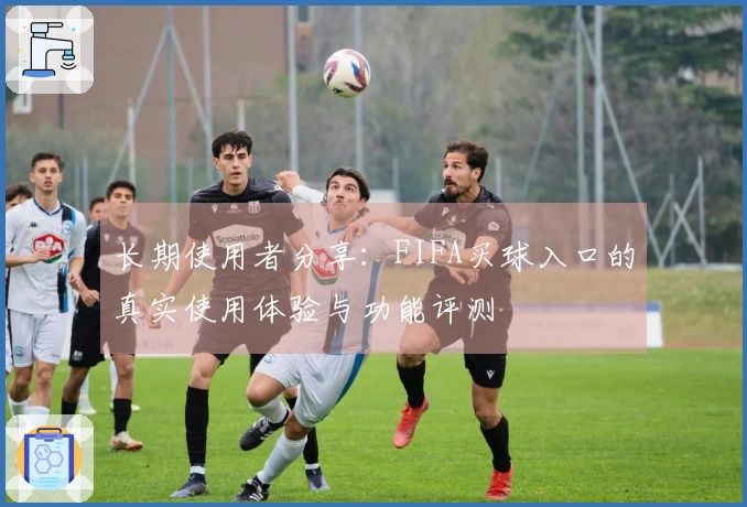长期使用者分享:FIFA买球入口的真实使用体验与功能评测